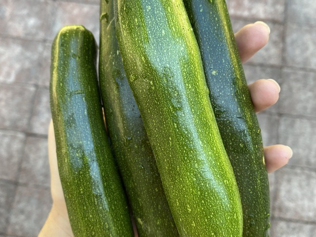 Forest Cottage AFH Adult Family Home in Bothell, WA