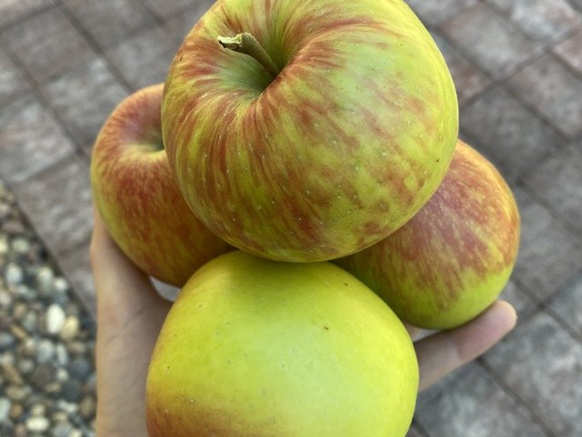 Forest Cottage AFH Adult Family Home in Bothell, WA