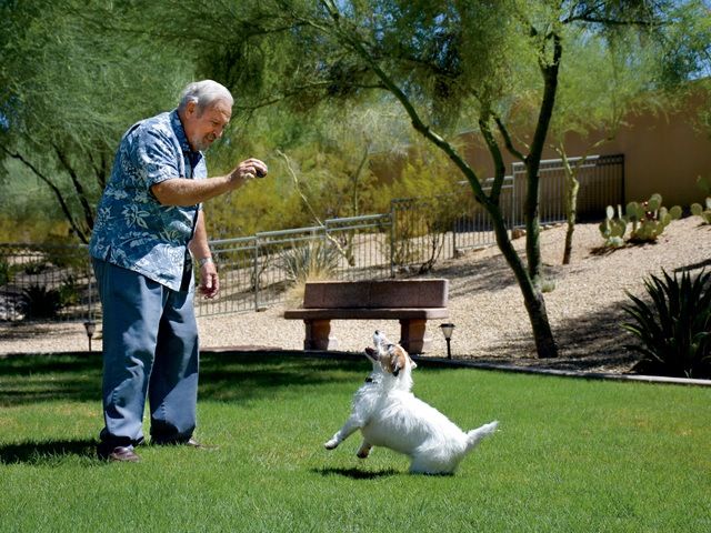 VI AT SILVERSTONE, A VI AND PLAZA COMPANIES COMMUN