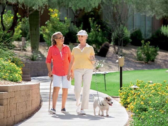 VI AT SILVERSTONE, A VI AND PLAZA COMPANIES COMMUN