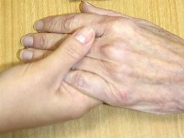 PALMETTO SUBACUTE CARE CENTER