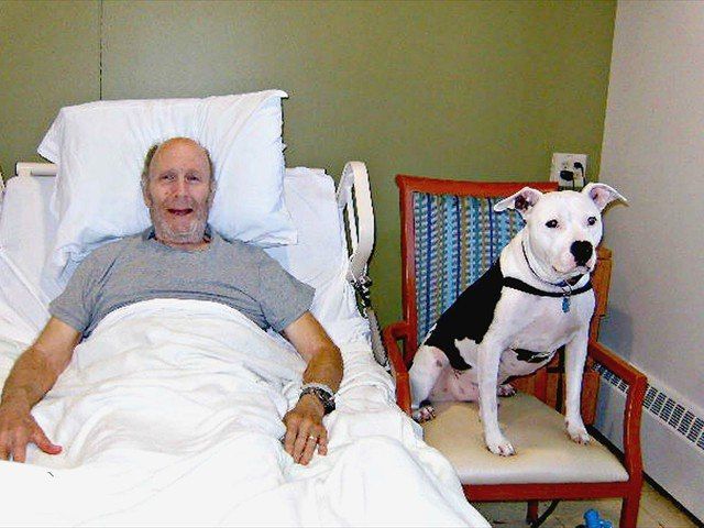 MEDILODGE OF LIVINGSTON