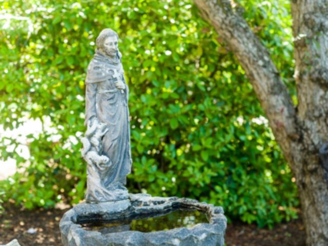 SAINT FRANCIS REHABILITATION AND NURSING CENTER