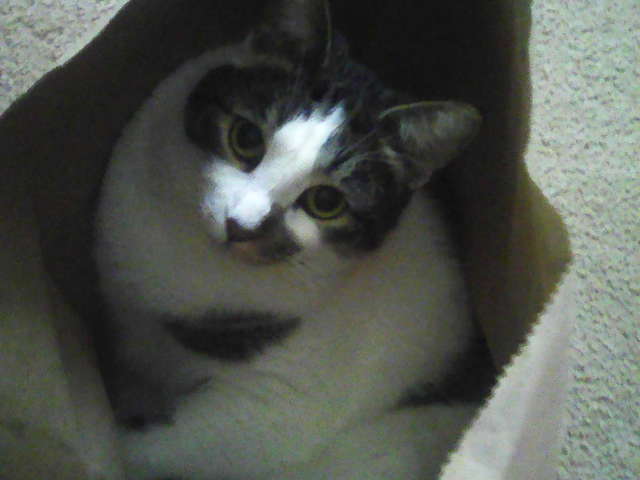 GREENVILLE RANCHERIA TRIBAL HEALTH Image in RED BLUFF, CA