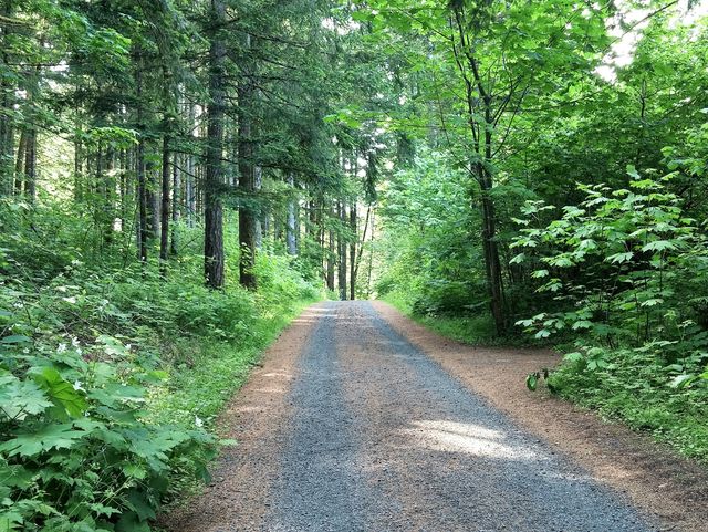 HOME CARE PARTNERS home care agency in Yorba Linda, CA