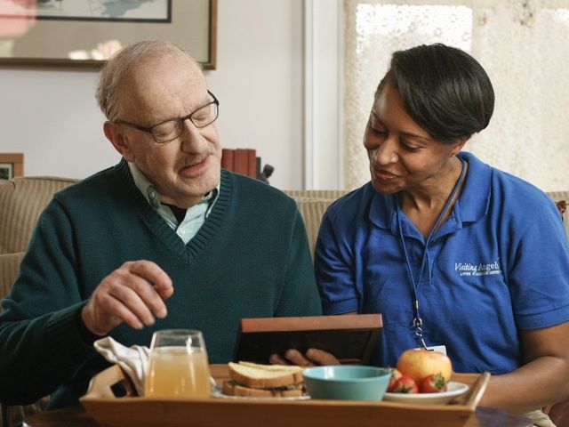 VISITING ANGELS, LIVING ASSISTANCE SERVICES