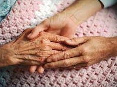 Gallery Image for COMFORT COMPANION SERVICES in SAINT AUGUSTINE, FL