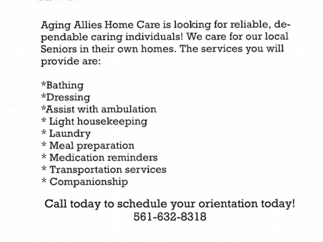 AGING ALLIES  INC