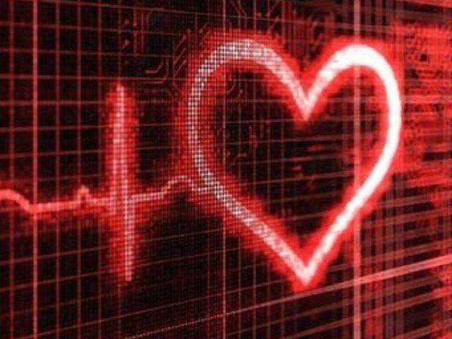 H3ART 2 HEARTS L.L.C.