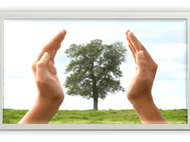 Genesis of Carolinas Home Care