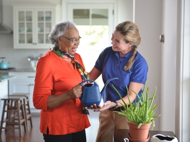 VISITING ANGELS OF UTAH COUNTY