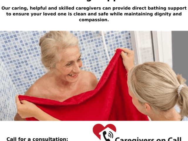 CAREGIVERS ON CALL INC