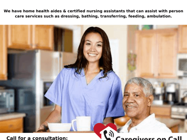 CAREGIVERS ON CALL INC