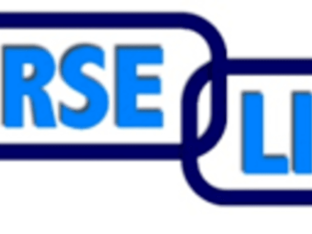 NURSE LINK LLC - Homecare photo in Apollo Beach , FL