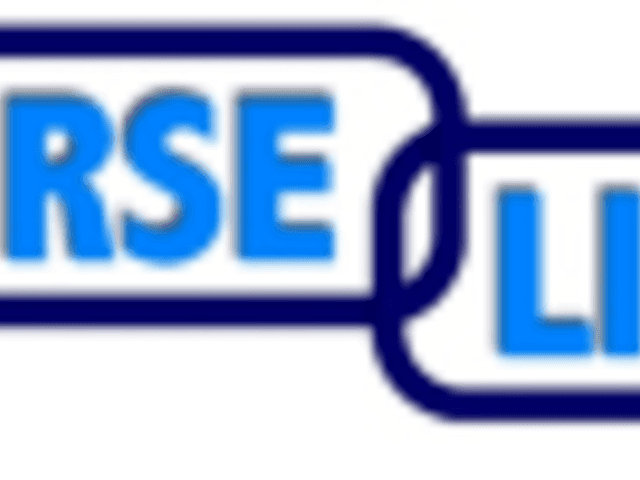 NURSE LINK LLC - Homecare photo in Apollo Beach , FL