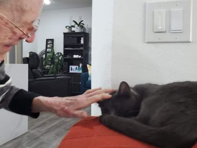 Evergreen Gentle Senior Care Adult Family Home in Woodinville, WA