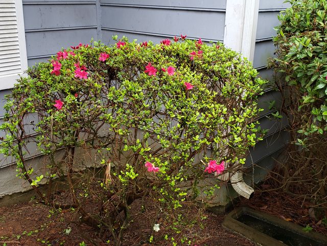 Gallery Image for Serene House of Care in Riverdale, GA