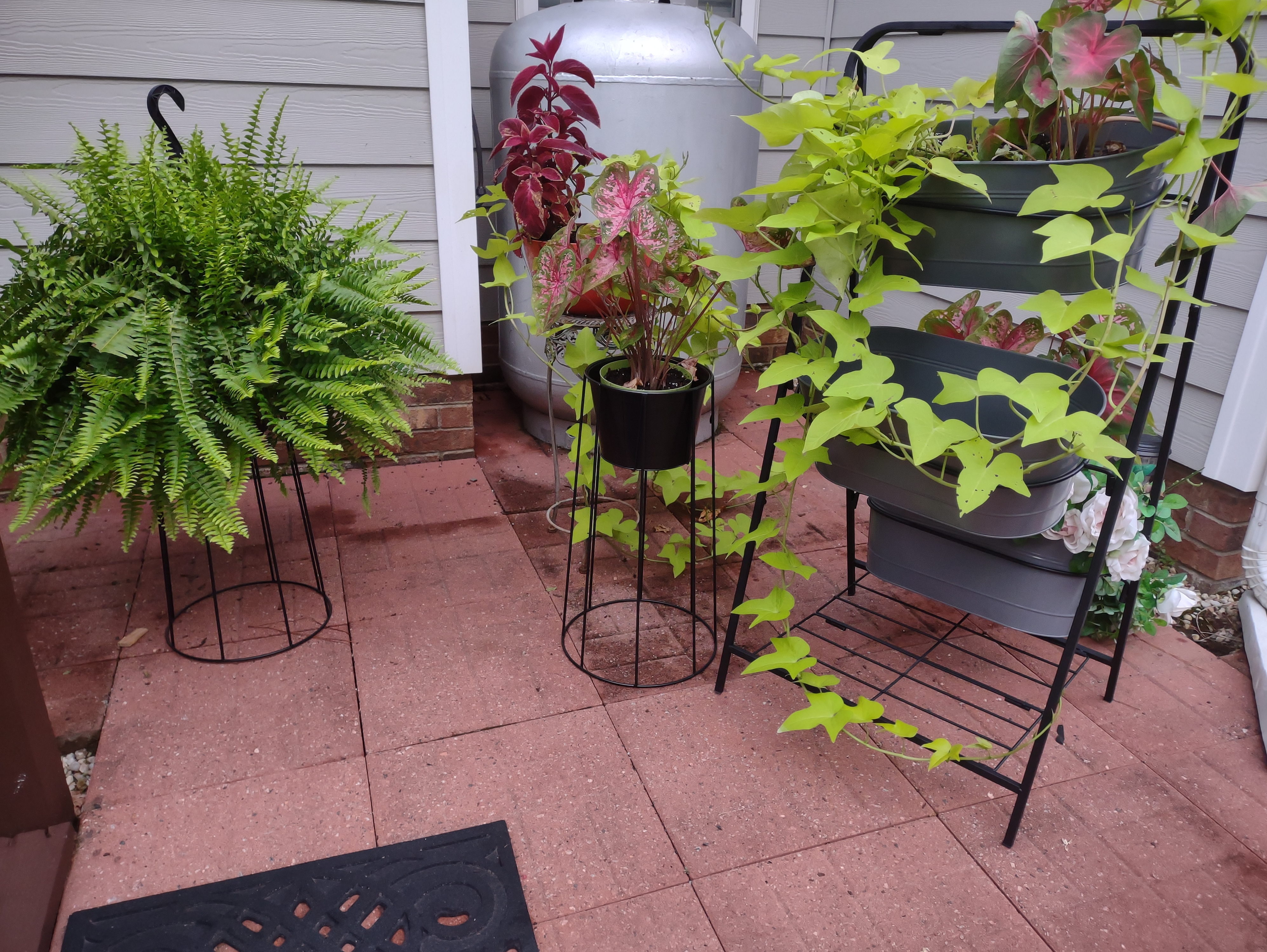 Gallery Image for Purpose Living and Care in Clayton, NC