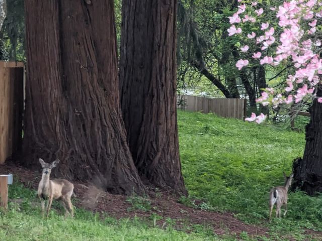 Gallery Image for Waterfront HomeCare in Roseburg, OR
