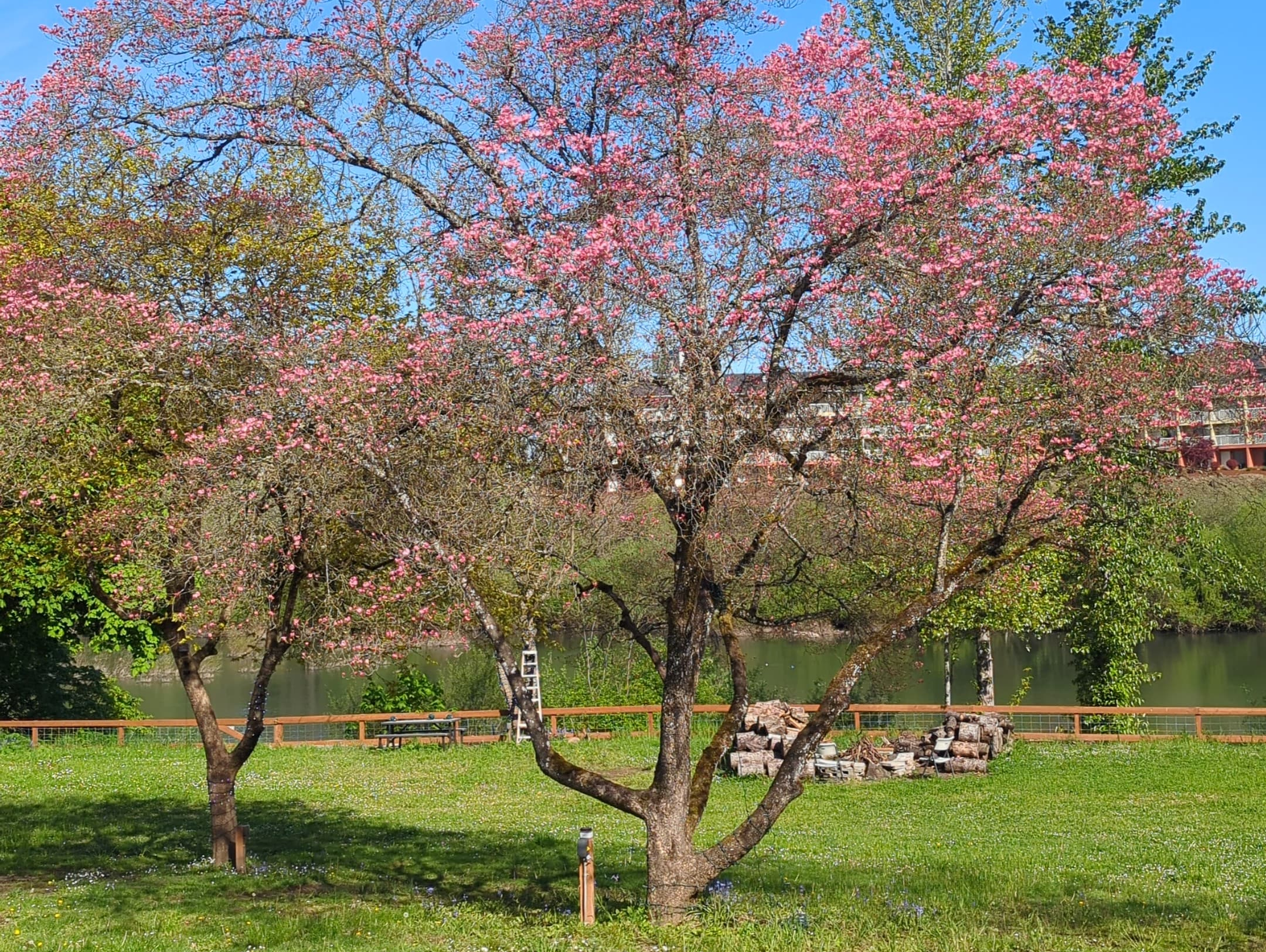 Gallery Image for Waterfront HomeCare in Roseburg, OR