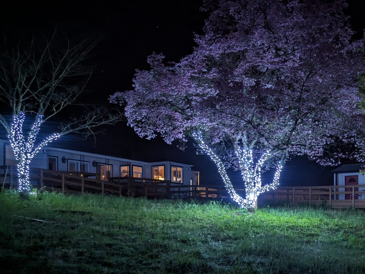 Gallery Image for Waterfront HomeCare in Roseburg, OR