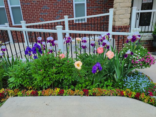 SERENITY MANOR OF CANTON Adult Small Group Home (Capacity 1-6) in Canton, MI