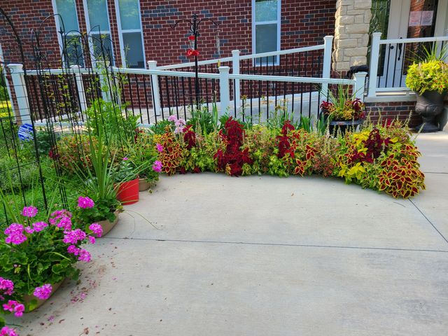 SERENITY MANOR OF CANTON Adult Small Group Home (Capacity 1-6) in Canton, MI
