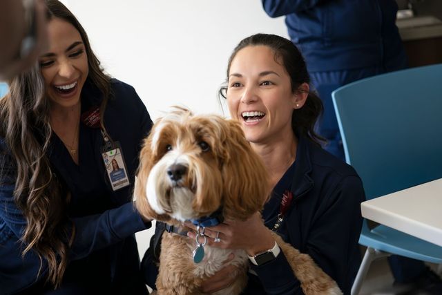 AdventHealth Hospice - Hospice photo in CENTENNIAL, CO