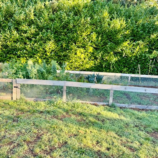 BLOOMING VILLA ADULT FAMILY HOME Adult Family Home in Kent, WA