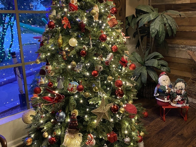 VISTA RANCH LLC Assisted Living Home-directed in Mesa, AZ