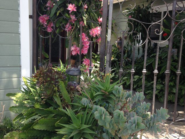 COAST NEW HORIZON Residential Care Elderly in Costa Mesa, CA