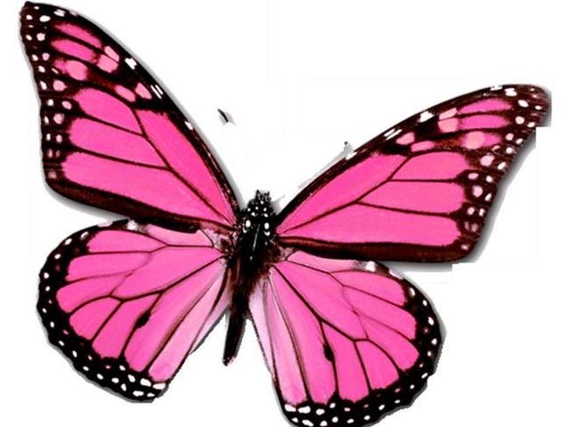 SAFE HAVEN HOME I Adult Residential in Adelanto, CA