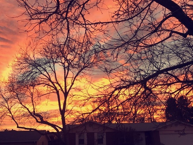 CLERMONT ASSISTED LIVING LLC Assisted Living Residence - Medicaid Certified in Centennial, CO