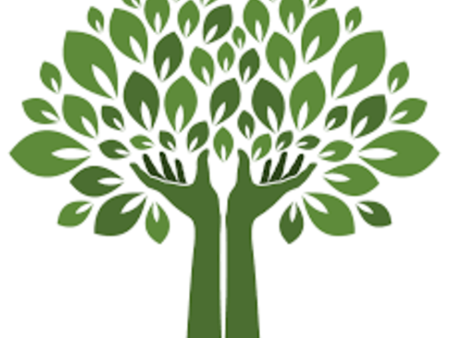 Family Extended Care of Sebring  Assisted Living Facility in Sebring, FL