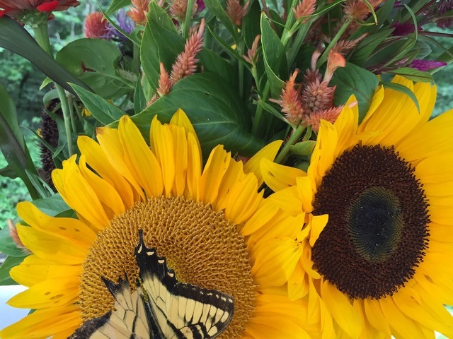 CRABAPPLE HALL Personal Care Home in Alpharetta, GA