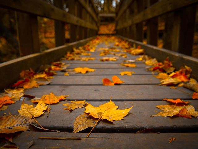 Amada Horner Adult Foster Home - Class 3 in Redmond, OR