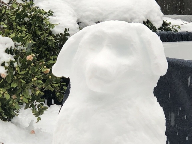 David E Schill Adult Foster Home - Class 2 in Eugene, OR