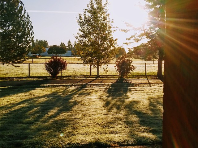 Sheri Lenhardt Adult Foster Home - Class 3 in Damascus, OR