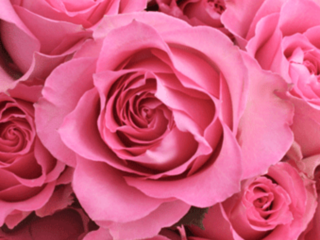 NEW HORIZON Adult Family Home in Renton, WA