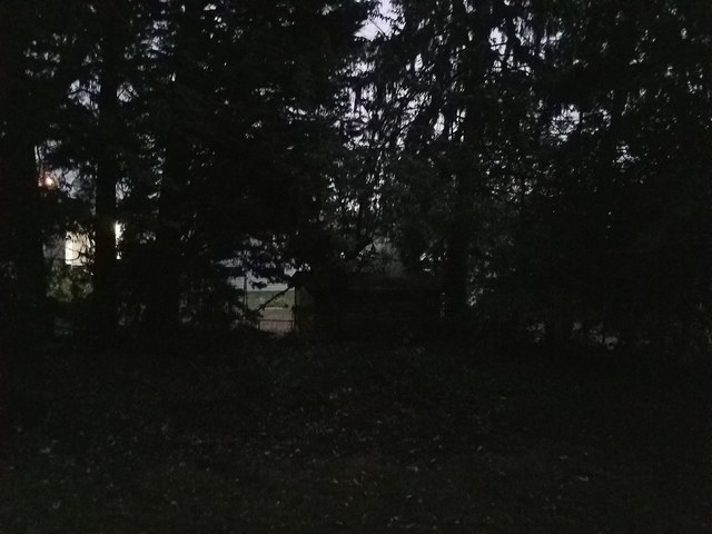 FRITZ CARE SERVICE Adult Family Home in Kent, WA