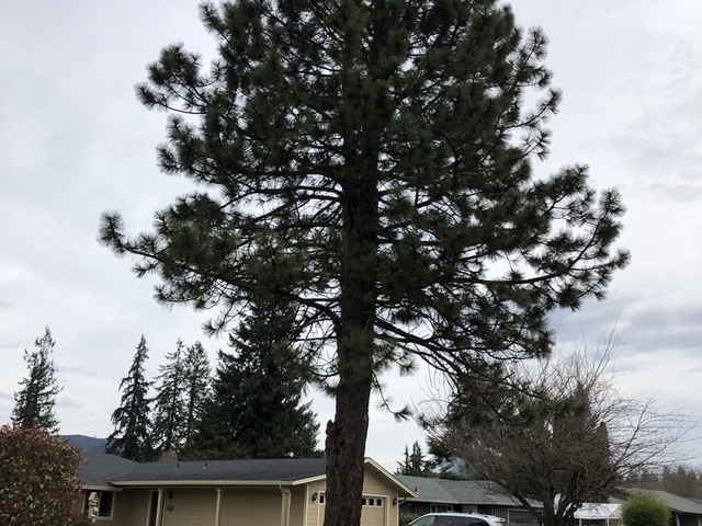 Zoe Adult Family Home Adult Family Home in Woodland, WA