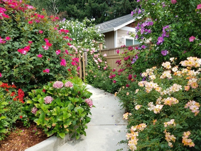 Lockehaven Adult Family Home Adult Family Home in Vancouver, WA