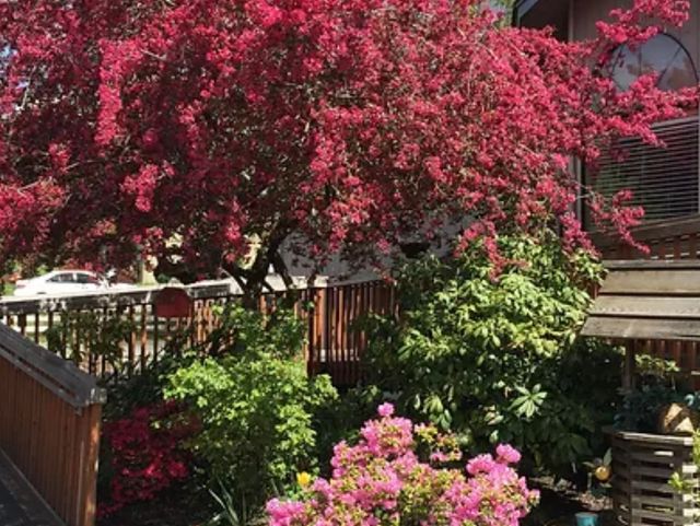 Pioneer House Senior Care Adult Family Home: Non-medicaid in Puyallup, WA