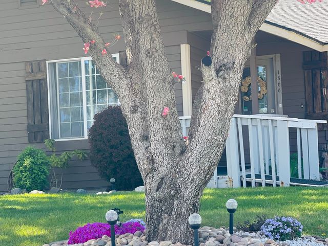 Gentle Hands Home Care LLC Adult Family Home in Kennewick, WA