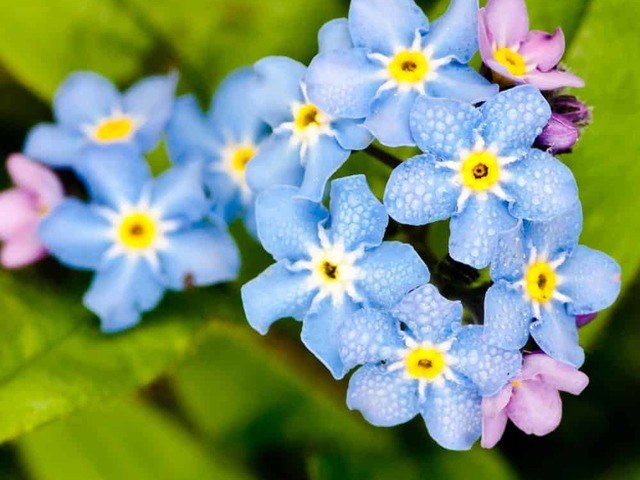 LIGHTBRIDGE HOSPICE AND PALLIATIVE CARE home care agency in San Diego, CA