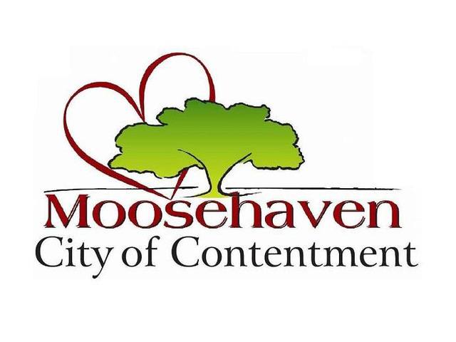 MOOSEHAVEN home care agency in Orange Park, FL