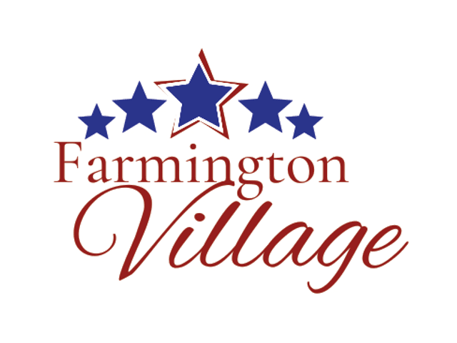 FARMINGTON VILLAGE NRSG home care agency in Farmington, IL