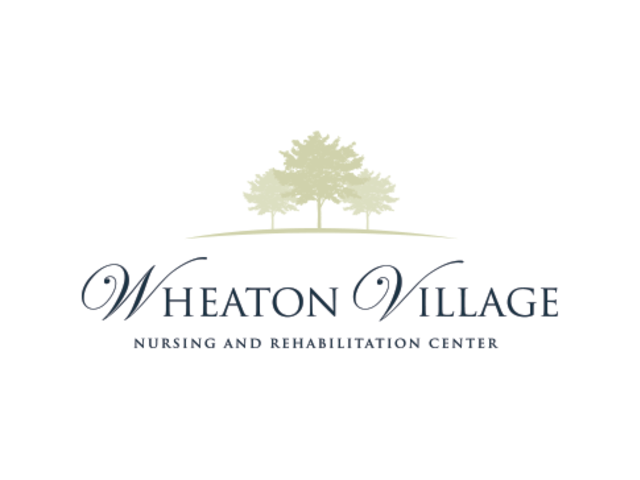 WHEATON VILLAGE NRSG & RHB CTR home care agency in Wheaton, IL