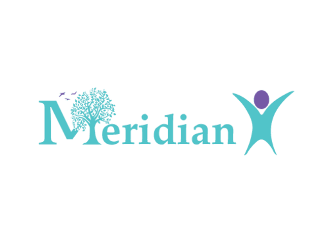 MERIDIAN HOME HEALTH CARE SERVICES home care agency in Hainesville, IL