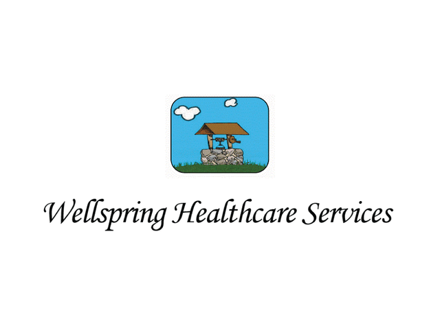 WELLSPRING HEALTHCARE SERVICES home care agency in Woodridge, IL